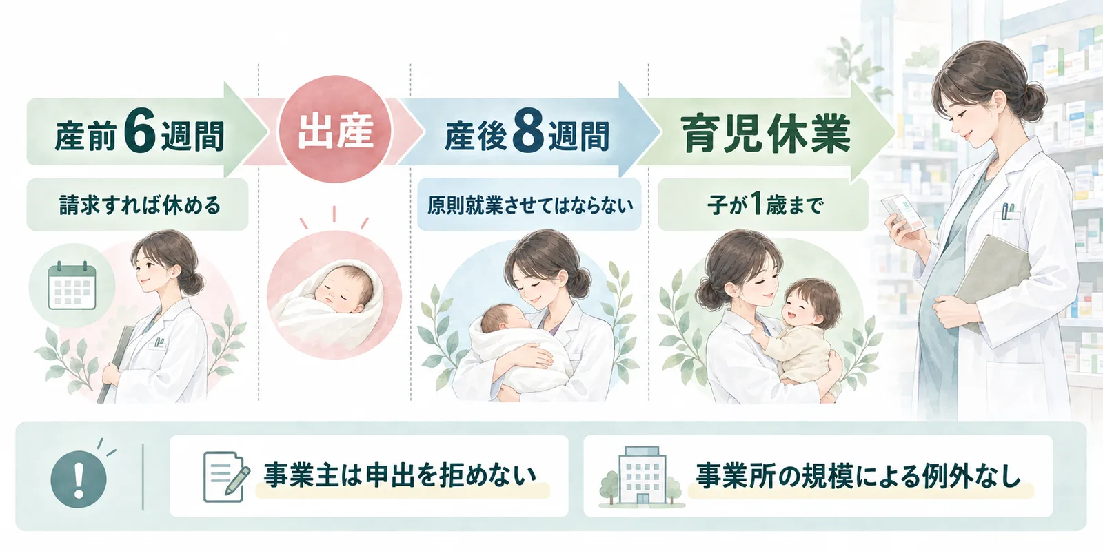 産前6週間、出産、産後8週間、子が1歳までの育児休業を示し、事業所の規模による例外がないことをまとめた図